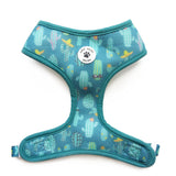 Cool as Cactus Reversible Dog Harness