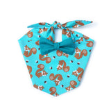 Squirrel & Paisley 3 Pack Bandana Gift Box