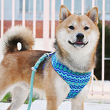 Bondi Waves Jacquard Dog Harness