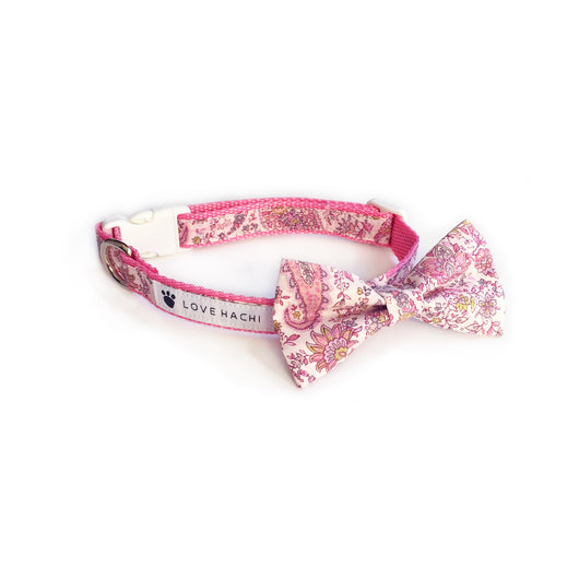 Pink Paisley Bow Tie Dog Collar