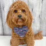 Manhattan Tweed Bow Tie Dog Harness