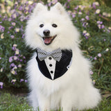Navy Tuxedo Dog Bandana with Bow Tie
